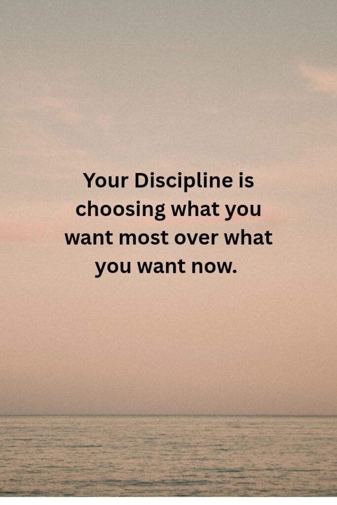 whatsapp image 2026 01 02 at 2.13.36 am (2)