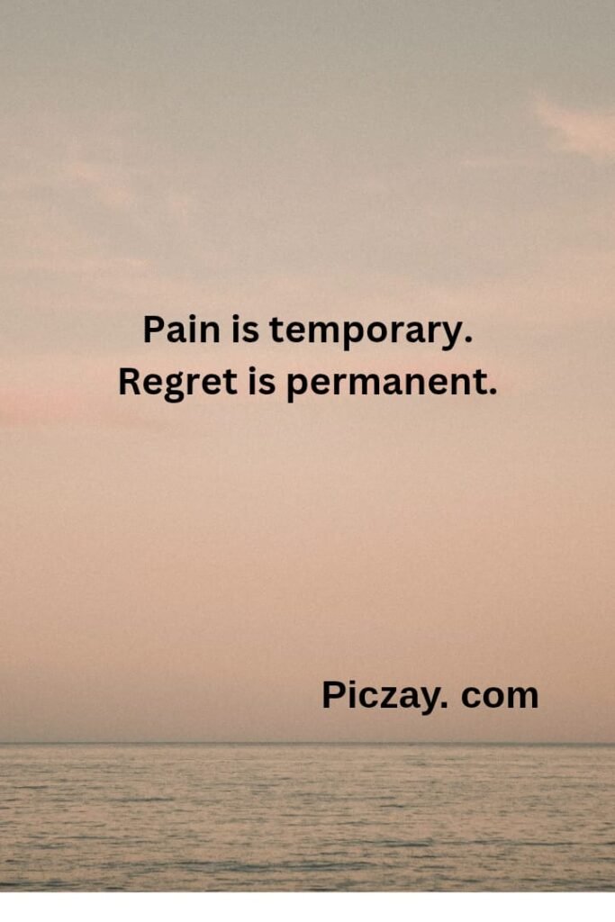 whatsapp image 2026 01 02 at 2.13.39 am