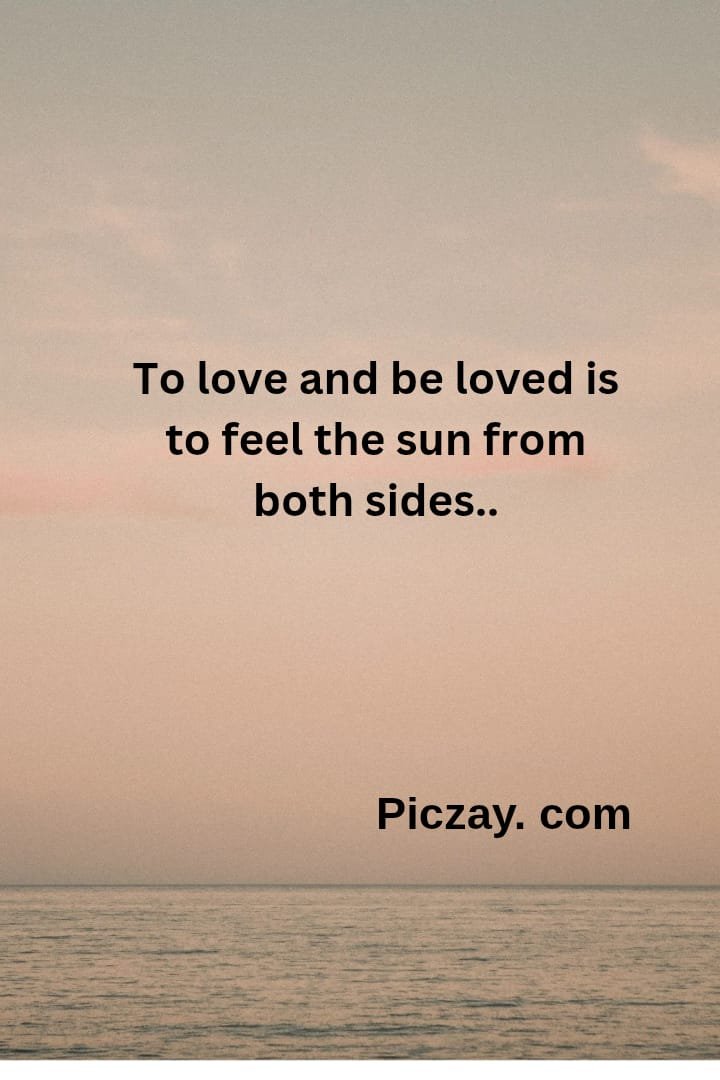 whatsapp image 2026 01 03 at 6.58.12 pm