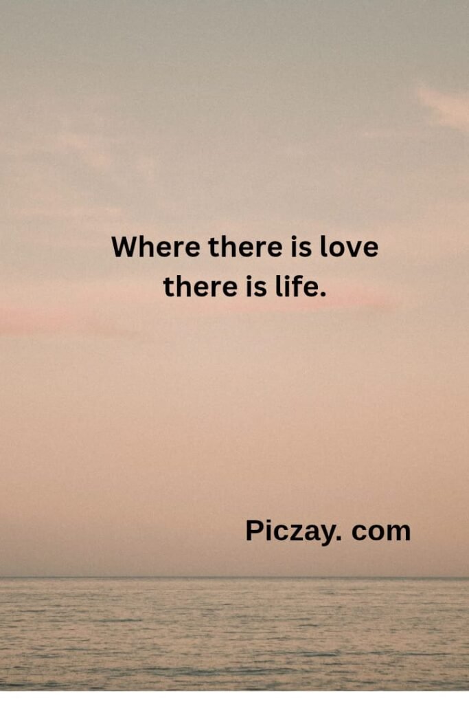 whatsapp image 2026 01 03 at 6.58.16 pm