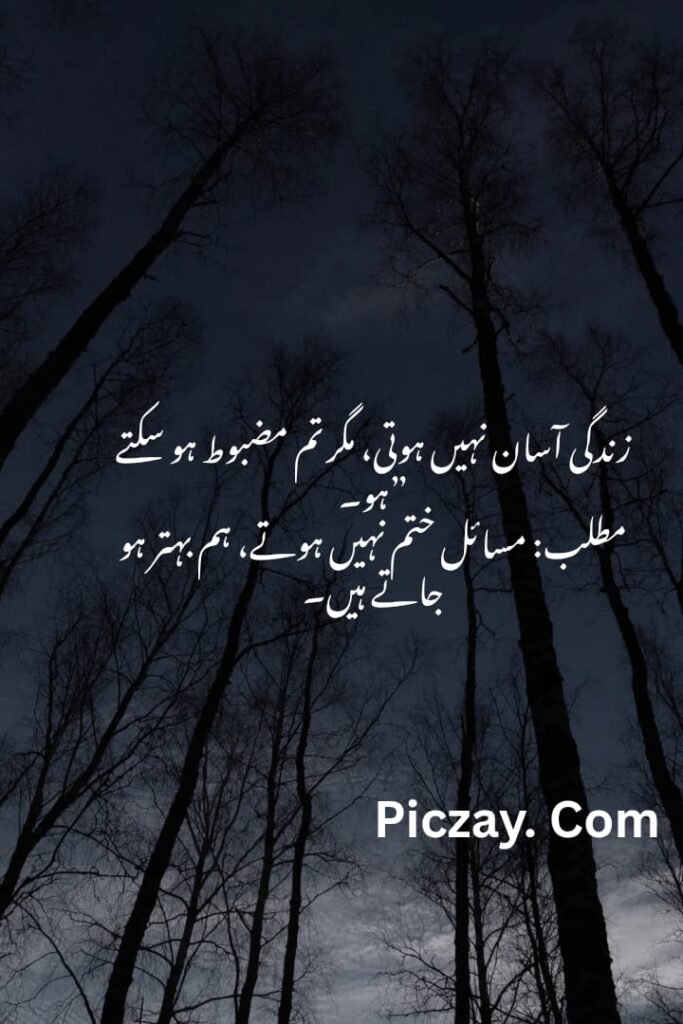 whatsapp image 2026 01 04 at 10.42.47 pm (1)