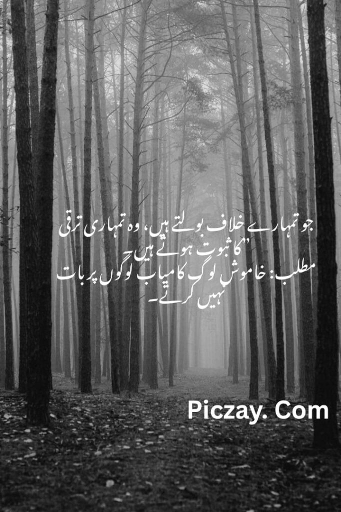 whatsapp image 2026 01 04 at 10.42.47 pm (2)