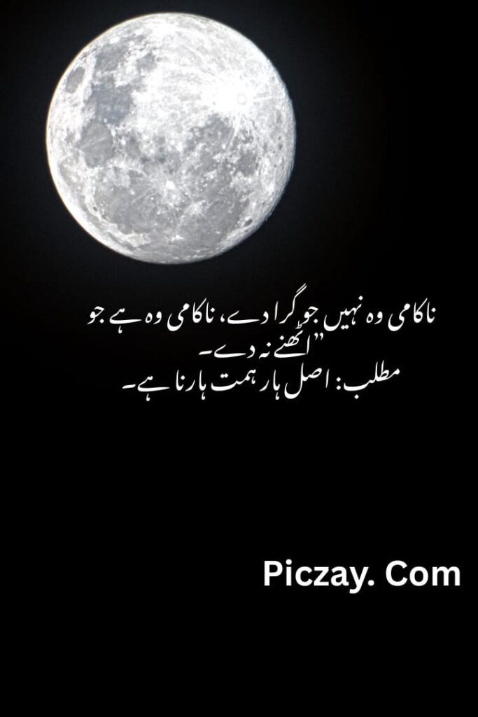 whatsapp image 2026 01 04 at 10.42.47 pm