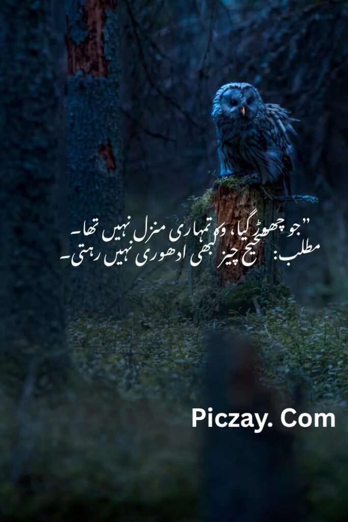 whatsapp image 2026 01 04 at 10.42.48 pm (1)