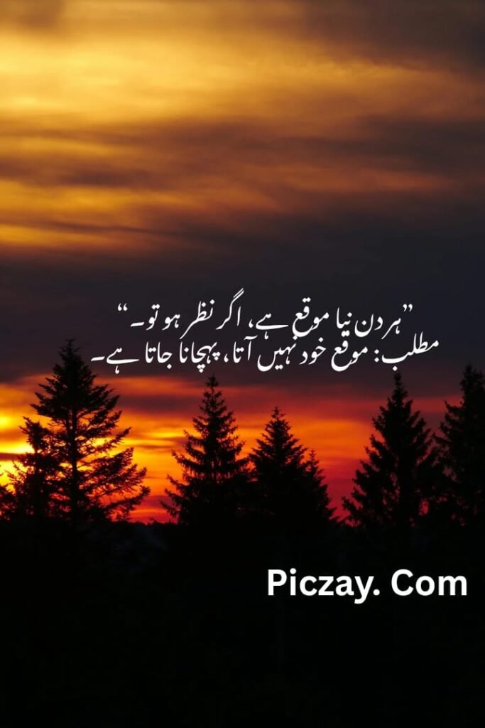 whatsapp image 2026 01 04 at 10.42.48 pm