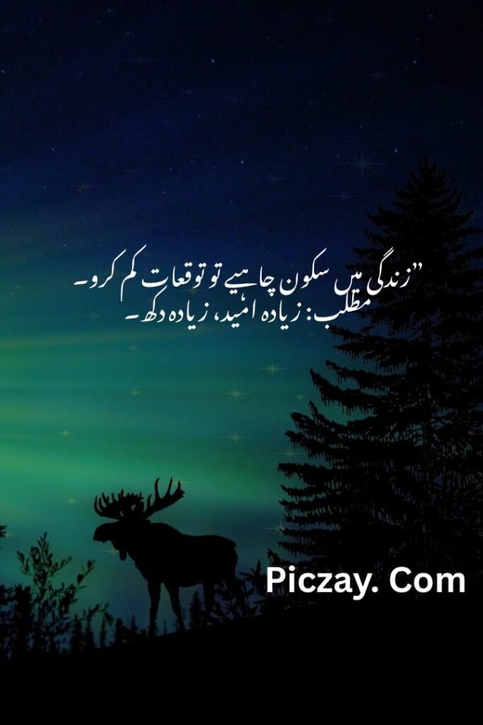 whatsapp image 2026 01 04 at 10.42.50 pm (2)