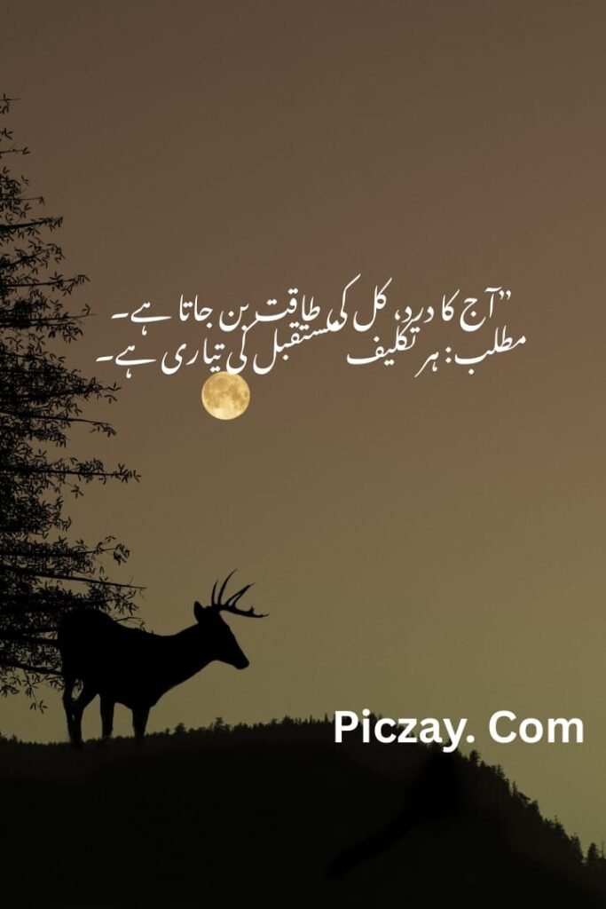 whatsapp image 2026 01 04 at 10.42.51 pm (1)