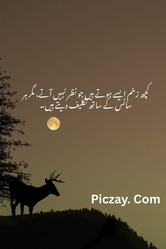 whatsapp image 2026 01 05 at 4.59.22 am