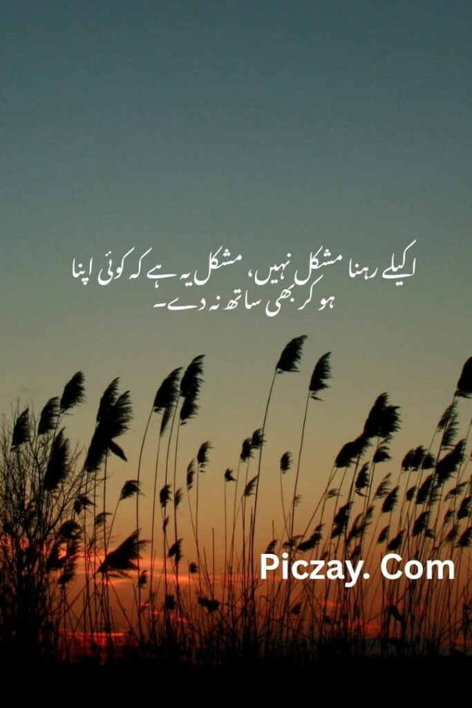 whatsapp image 2026 01 05 at 4.59.26 am