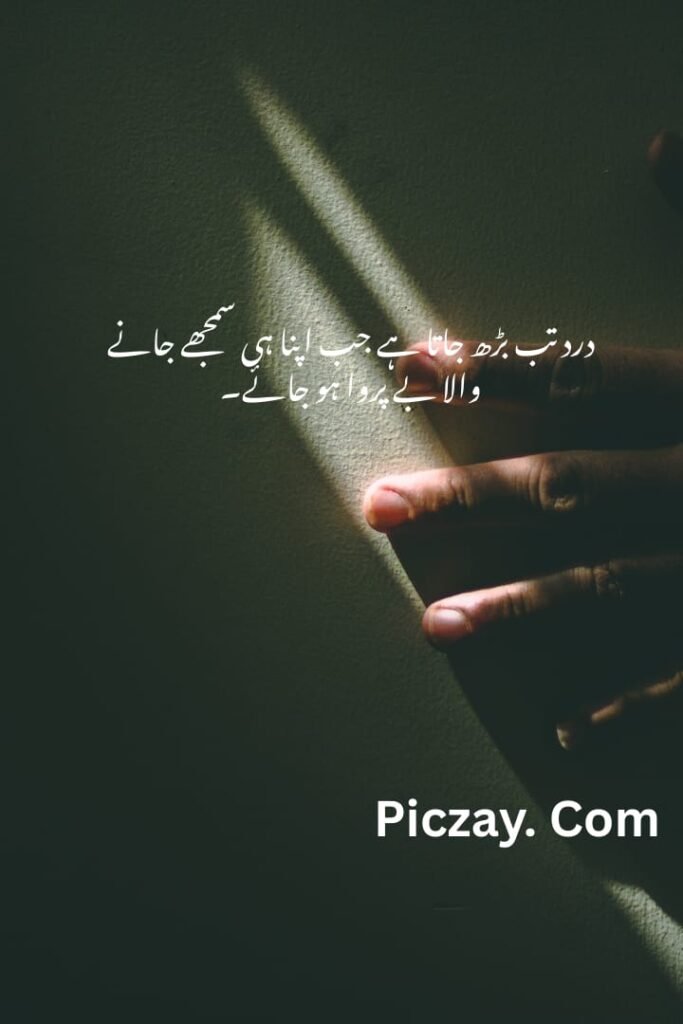 whatsapp image 2026 01 05 at 4.59.33 am (1)