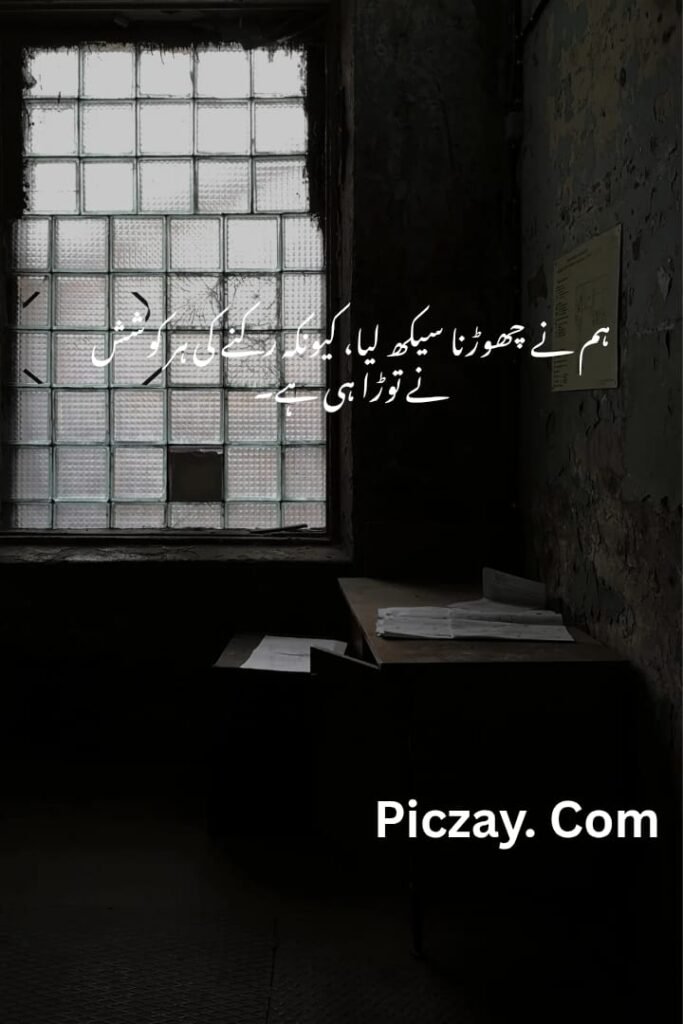 whatsapp image 2026 01 05 at 4.59.33 am