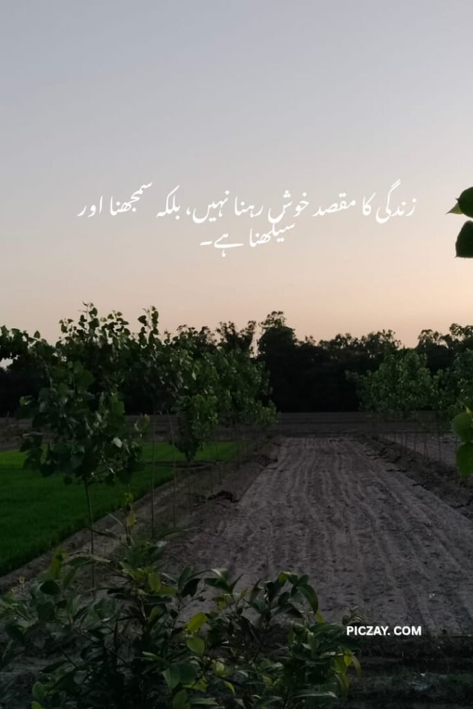 whatsapp image 2026 01 06 at 1.24.25 am (1)