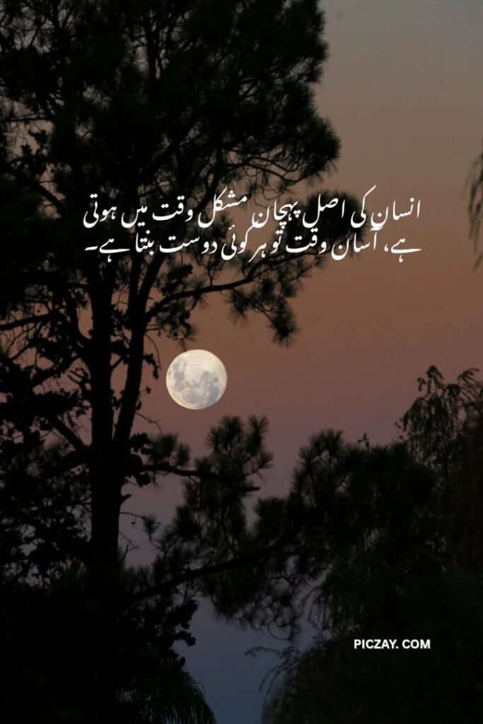 whatsapp image 2026 01 06 at 1.24.25 am