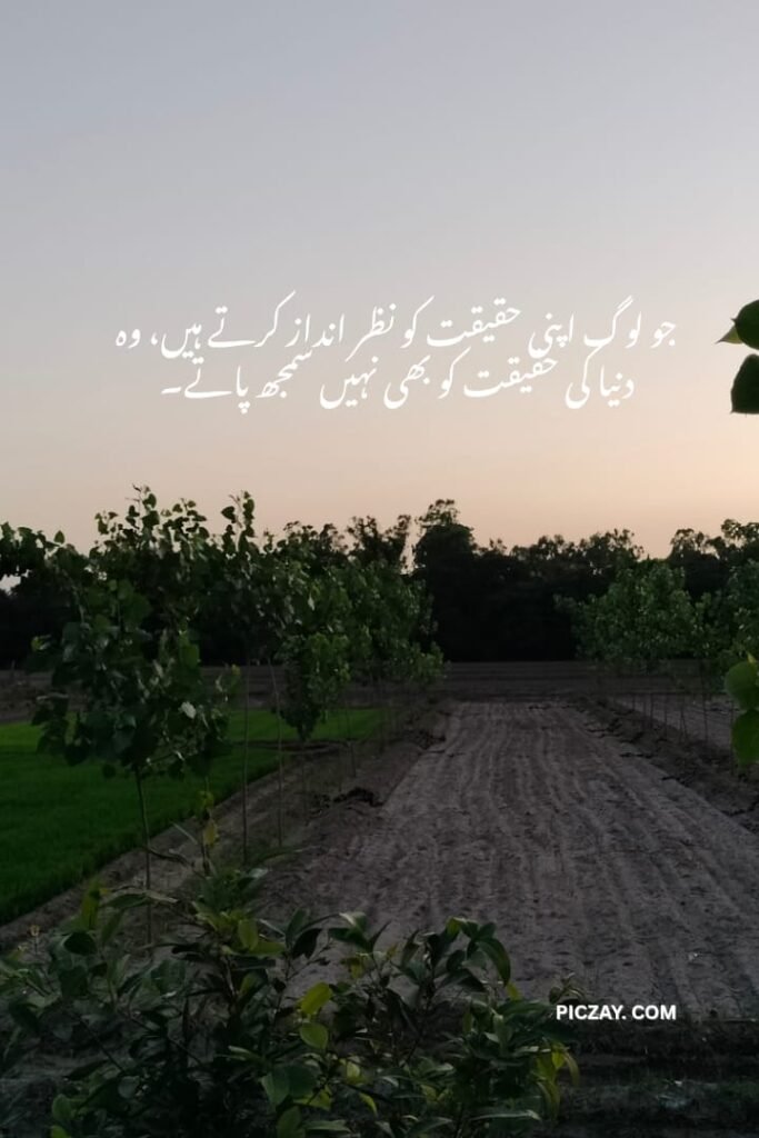 whatsapp image 2026 01 06 at 1.24.26 am