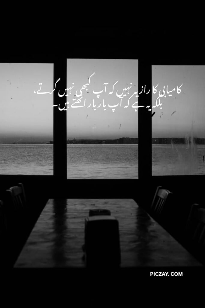 whatsapp image 2026 01 06 at 1.24.29 am (1)