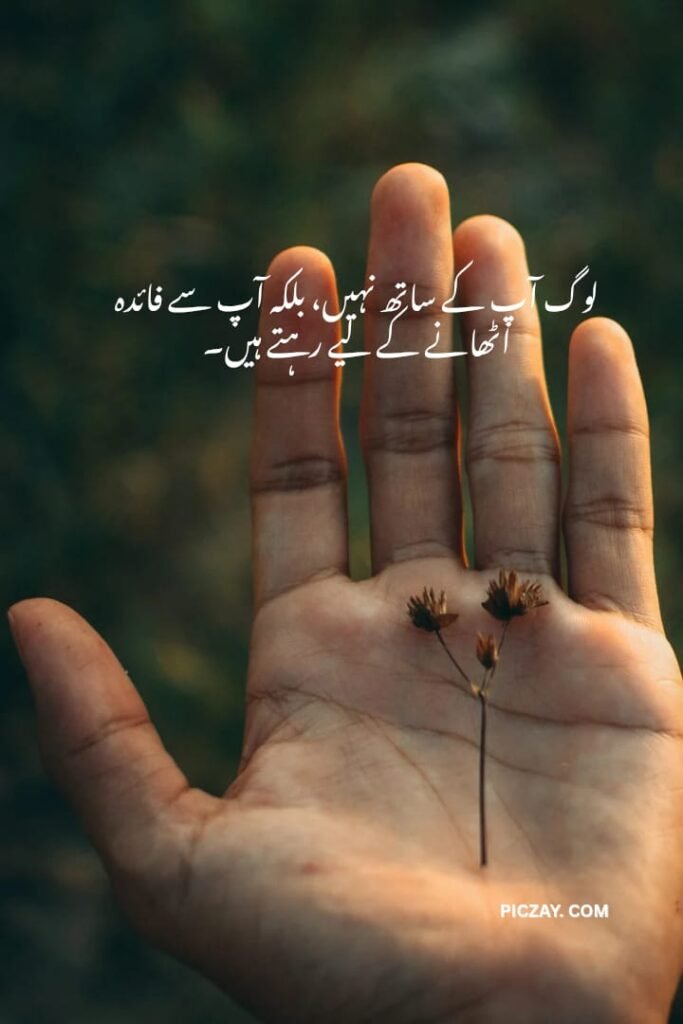 whatsapp image 2026 01 06 at 1.24.29 am