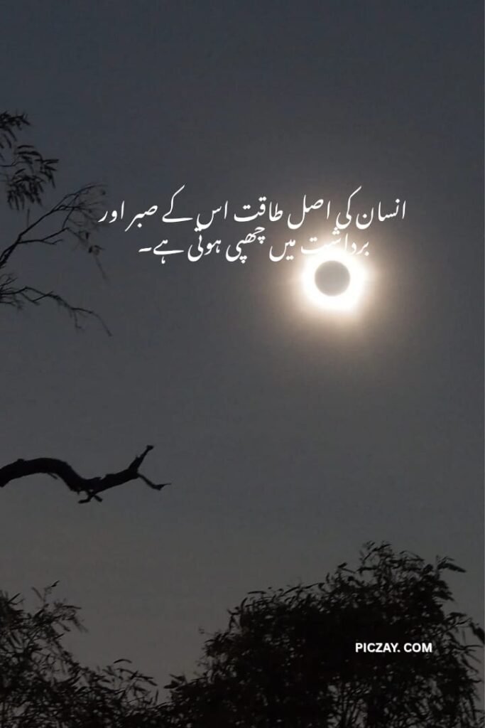 whatsapp image 2026 01 06 at 1.24.35 am