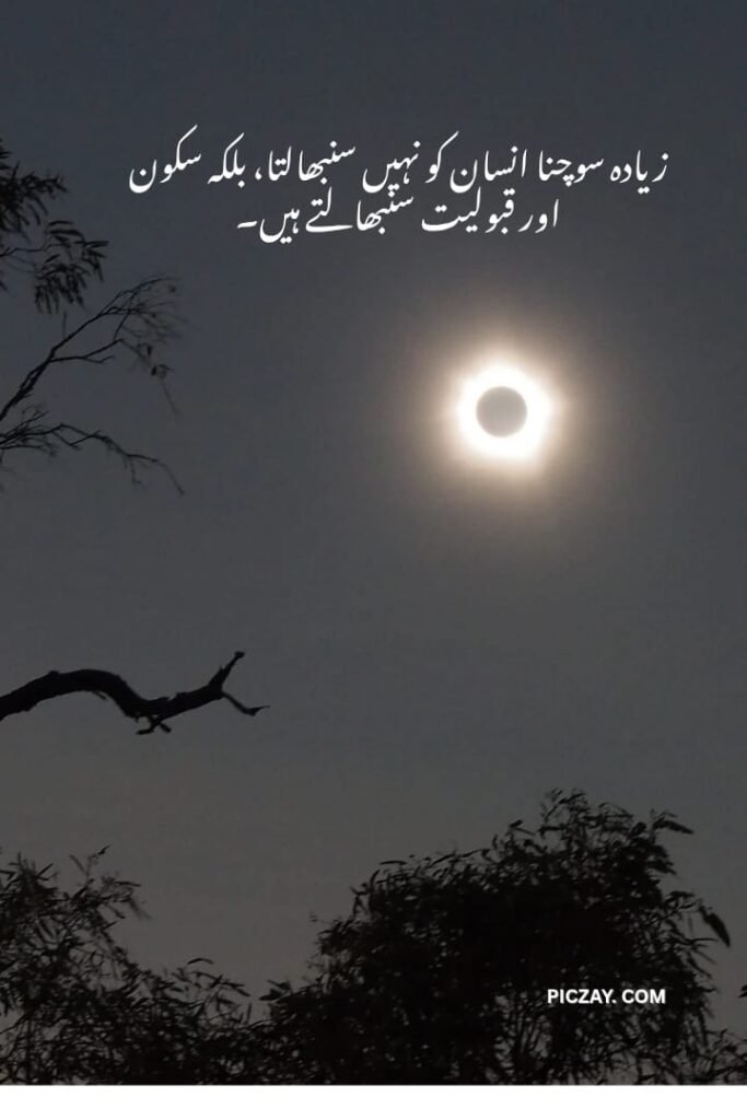 whatsapp image 2026 01 06 at 1.24.36 am (1)