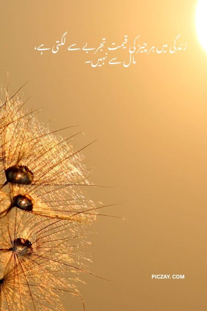 whatsapp image 2026 01 06 at 1.28.52 am