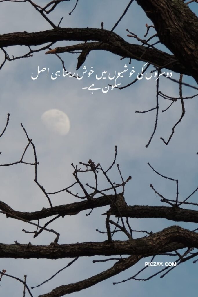 whatsapp image 2026 01 06 at 1.28.53 am (1)