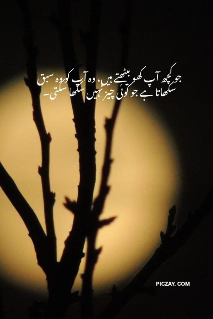 whatsapp image 2026 01 06 at 1.28.54 am (1)