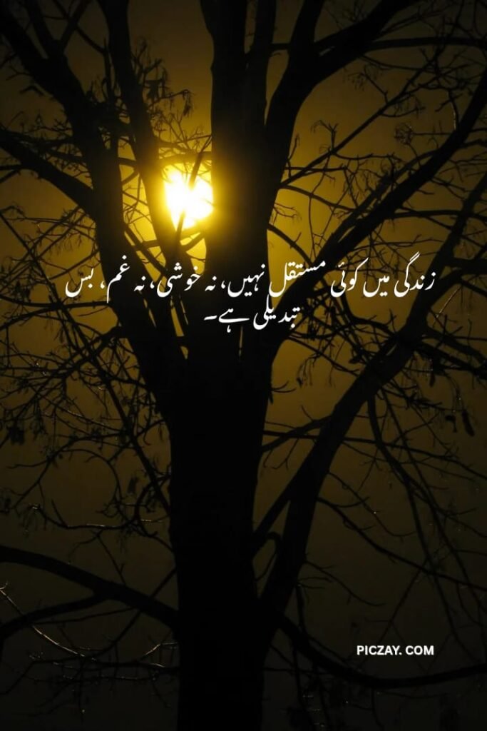 whatsapp image 2026 01 06 at 1.28.55 am