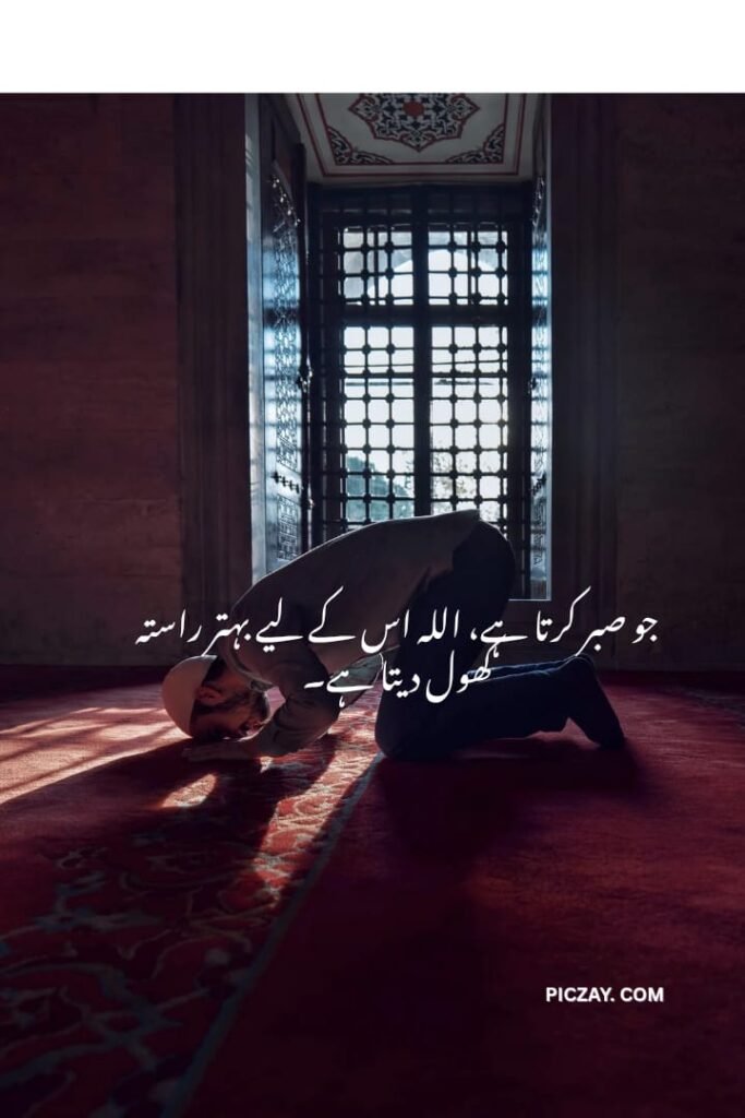 whatsapp image 2026 01 06 at 5.58.28 am (2)