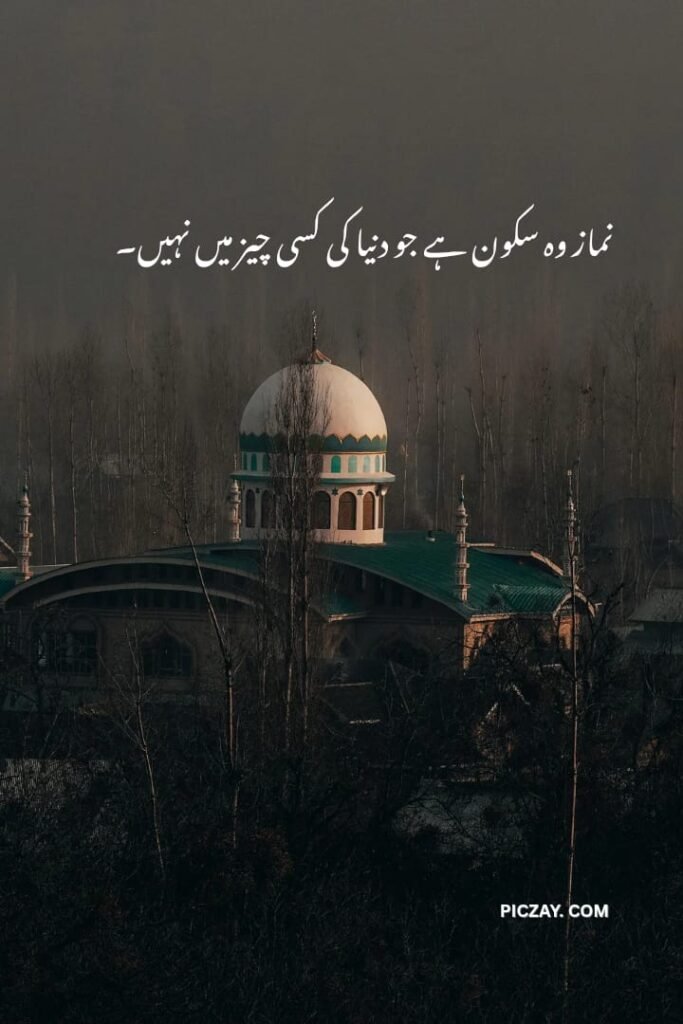 whatsapp image 2026 01 06 at 5.58.28 am