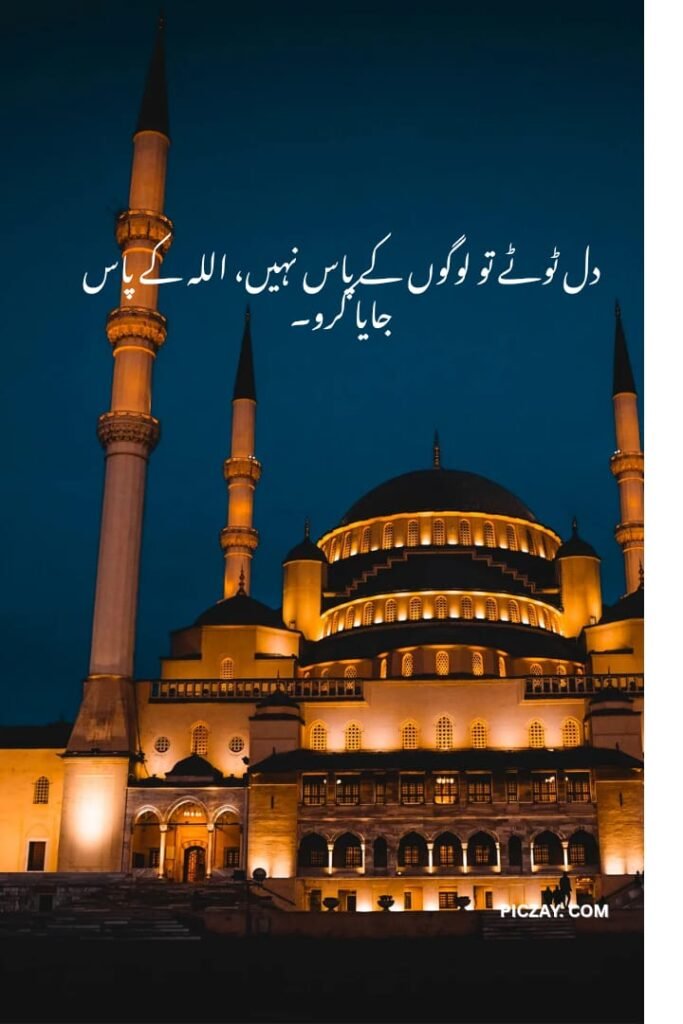 whatsapp image 2026 01 06 at 5.58.29 am