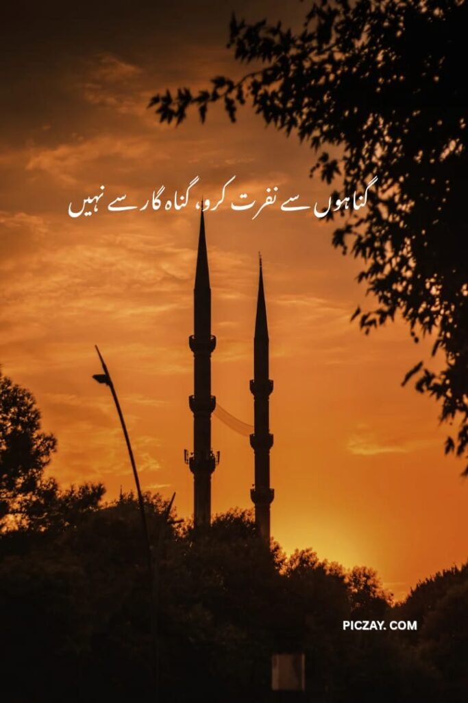 whatsapp image 2026 01 06 at 5.58.31 am (1)