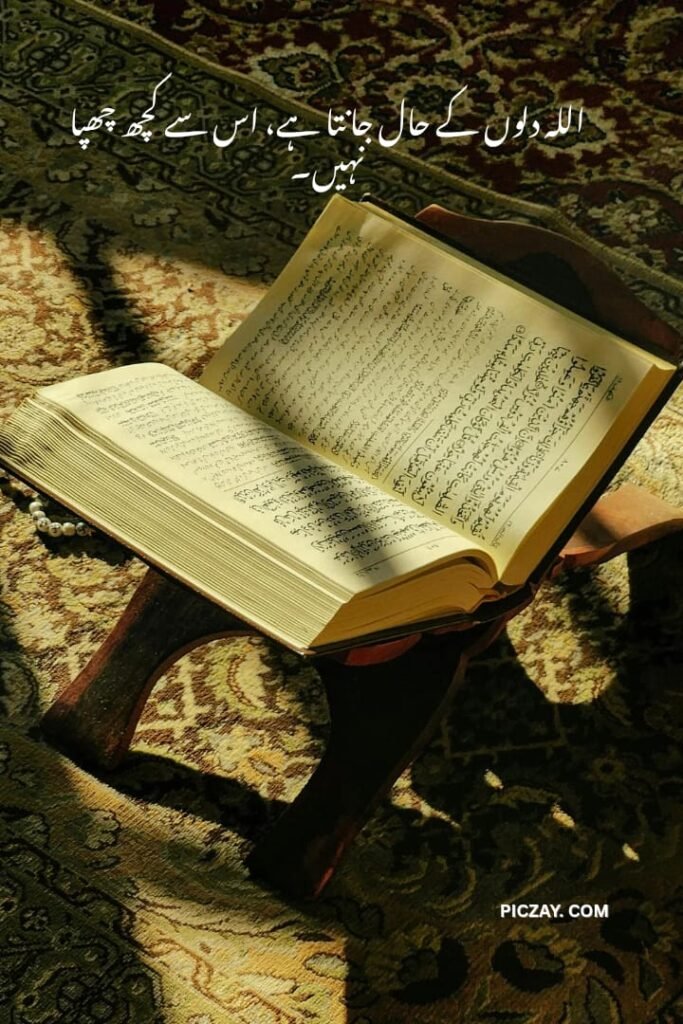 whatsapp image 2026 01 06 at 5.58.31 am (2)