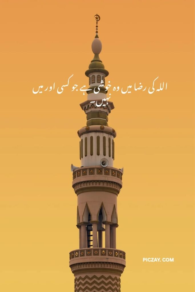 whatsapp image 2026 01 06 at 5.58.32 am (1)