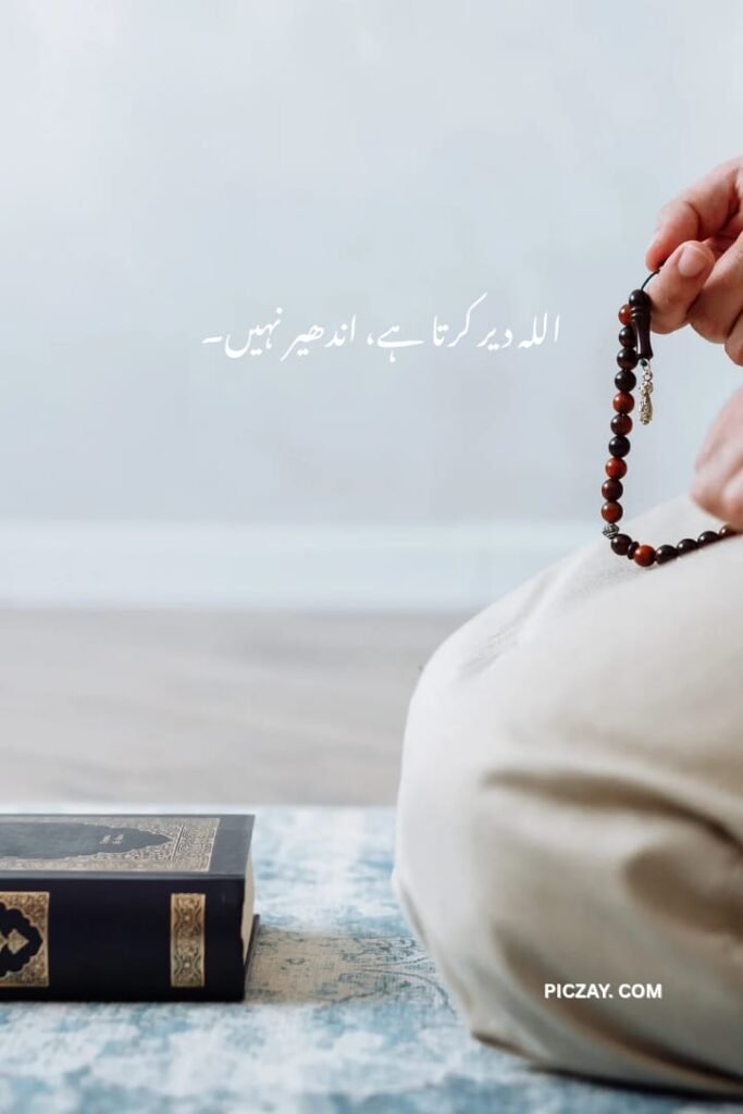 whatsapp image 2026 01 06 at 5.58.33 am (1)