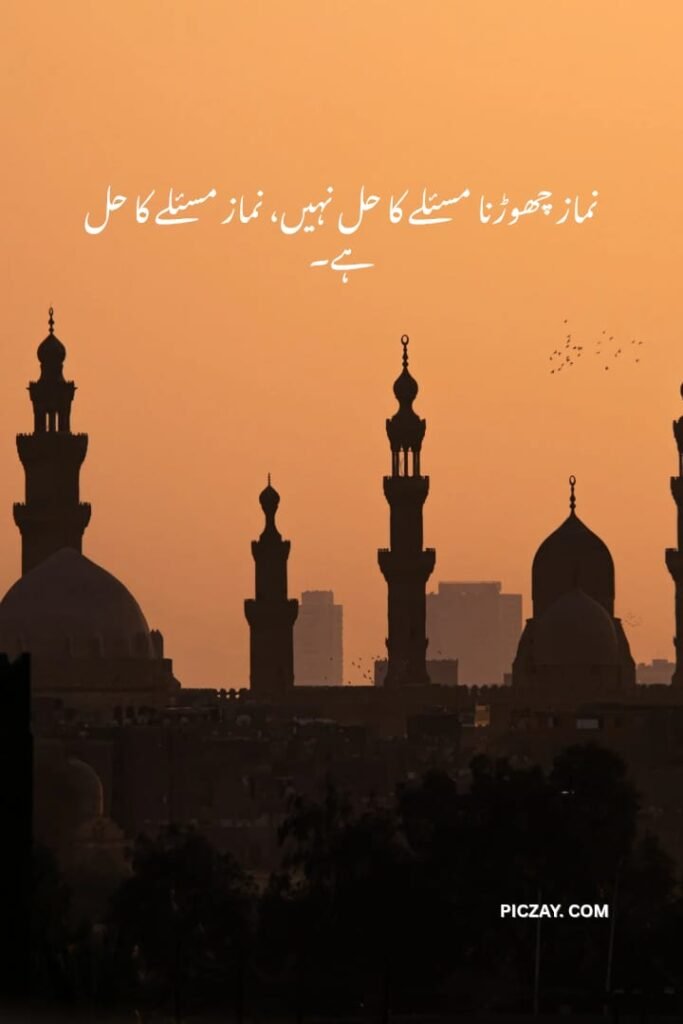 whatsapp image 2026 01 06 at 5.58.34 am (2)