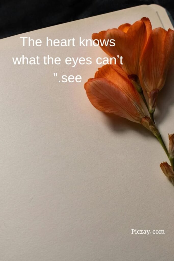 whatsapp image 2026 01 06 at 9.14.58 pm