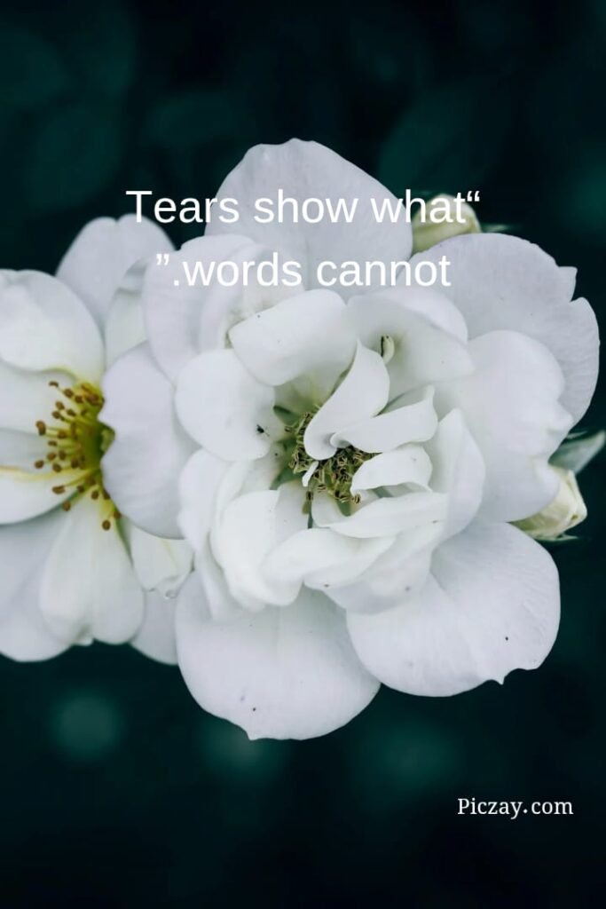 whatsapp image 2026 01 06 at 9.15.02 pm