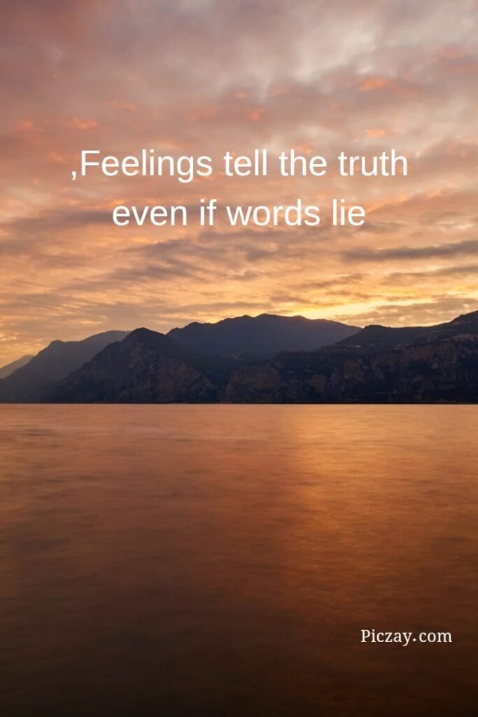 whatsapp image 2026 01 06 at 9.15.03 pm (1)