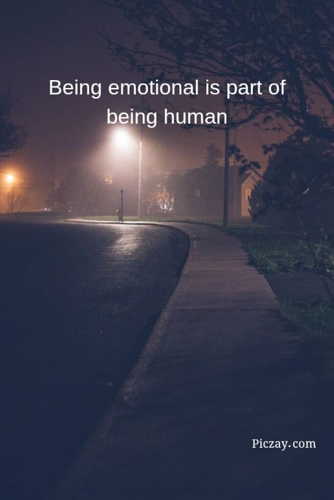 whatsapp image 2026 01 06 at 9.15.04 pm (2)