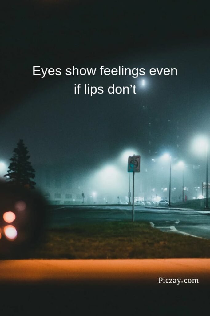 whatsapp image 2026 01 06 at 9.15.05 pm