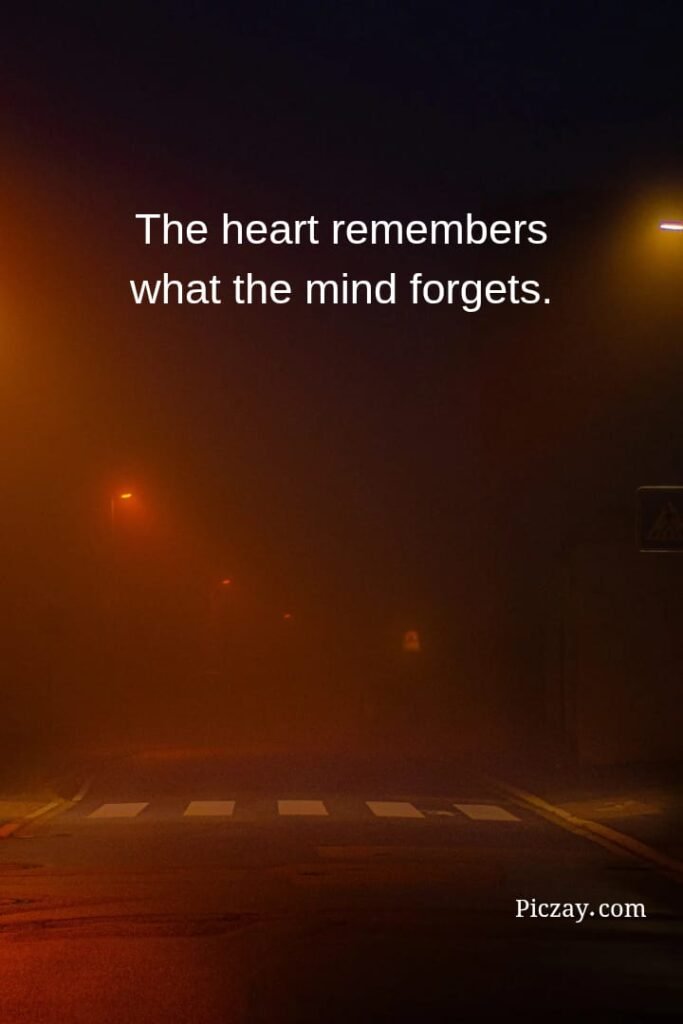 whatsapp image 2026 01 06 at 9.15.06 pm (1)