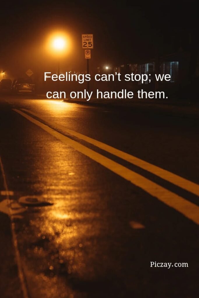 whatsapp image 2026 01 06 at 9.15.06 pm (3)