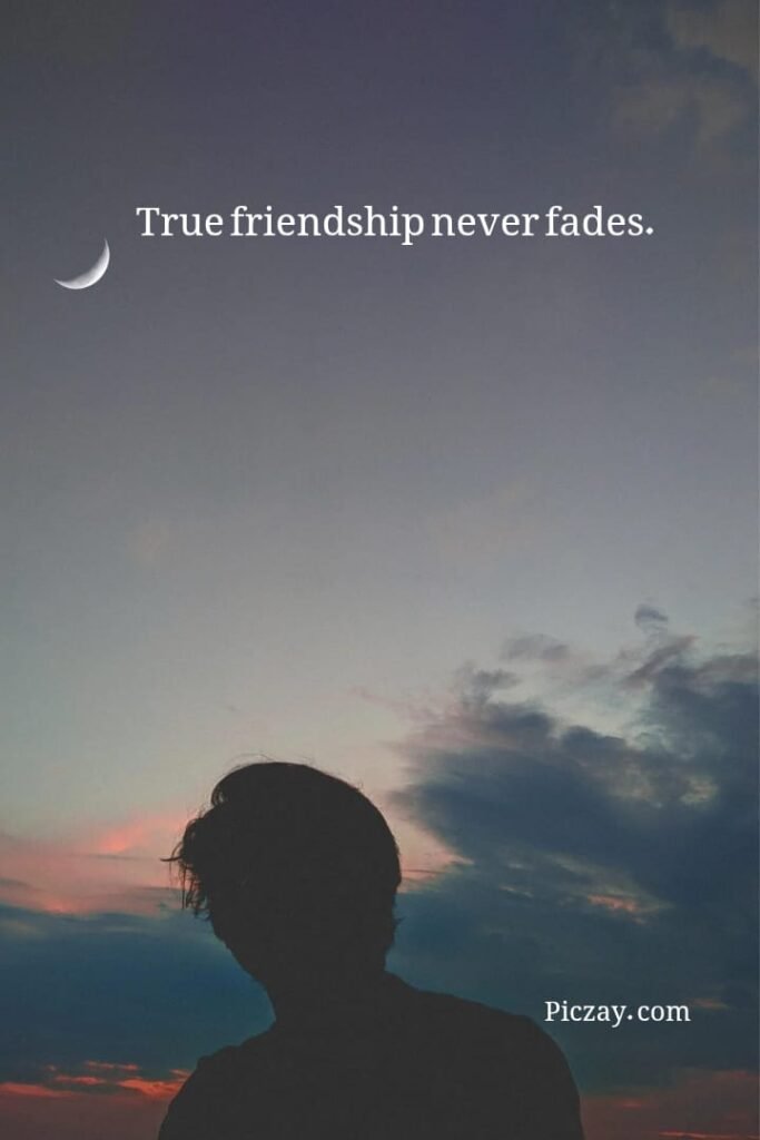 whatsapp image 2026 01 07 at 9.33.51 pm (1)