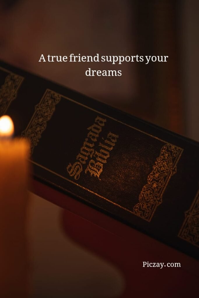 whatsapp image 2026 01 07 at 9.33.53 pm (1)