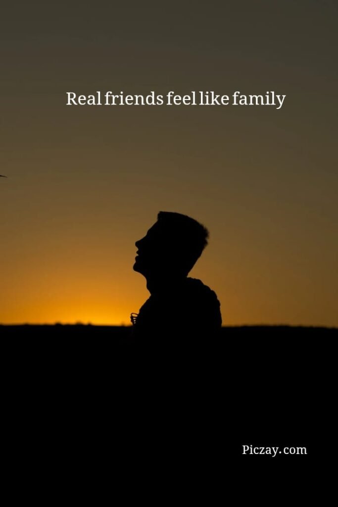 whatsapp image 2026 01 07 at 9.33.53 pm (3)