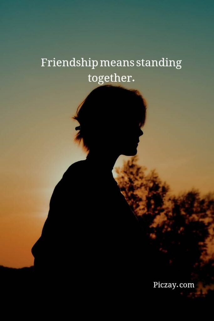 whatsapp image 2026 01 07 at 9.33.54 pm (1)