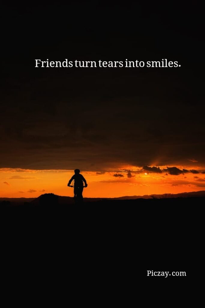 whatsapp image 2026 01 07 at 9.33.56 pm (3)