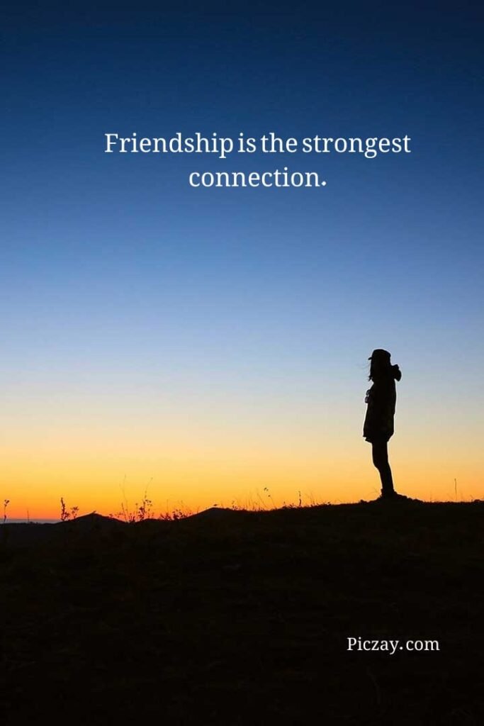 whatsapp image 2026 01 07 at 9.33.57 pm