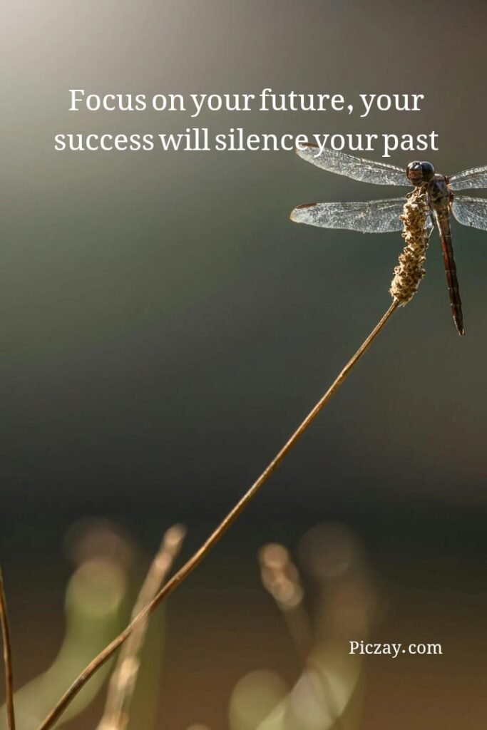 focus on your future quotes (20)
