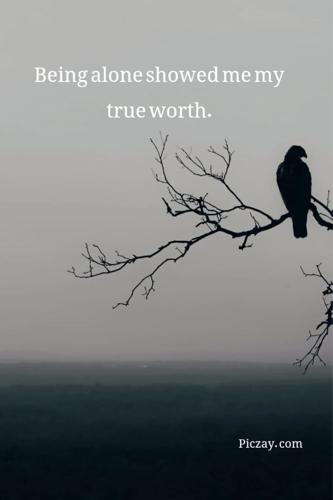 alone but strong quotes (18)