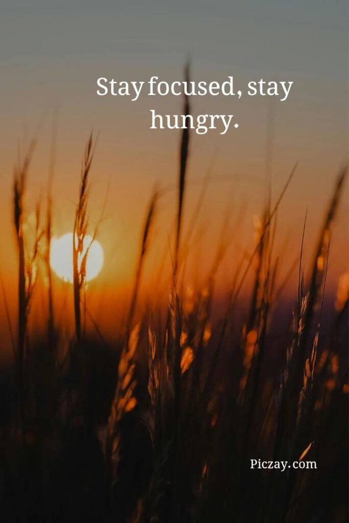 focus on your future quotes (9)